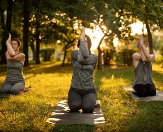 Foundations of Yoga Research